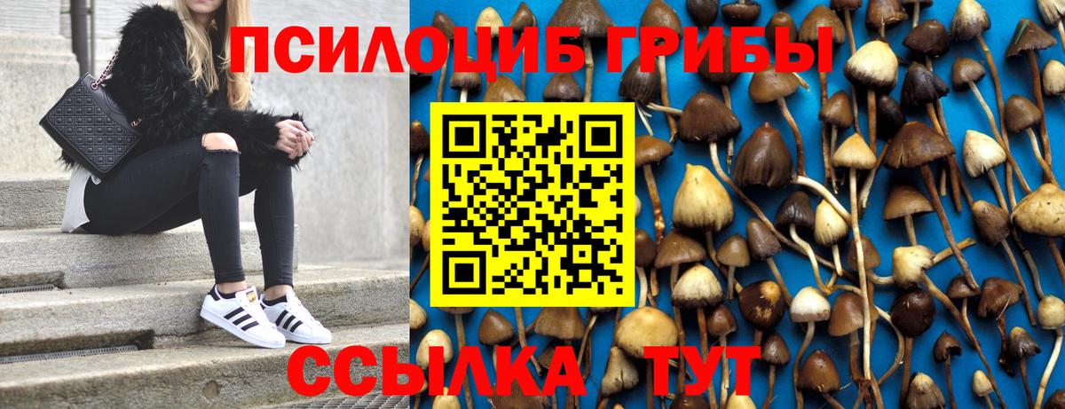 Псилоцибиновые грибы Magic Shrooms Мыски