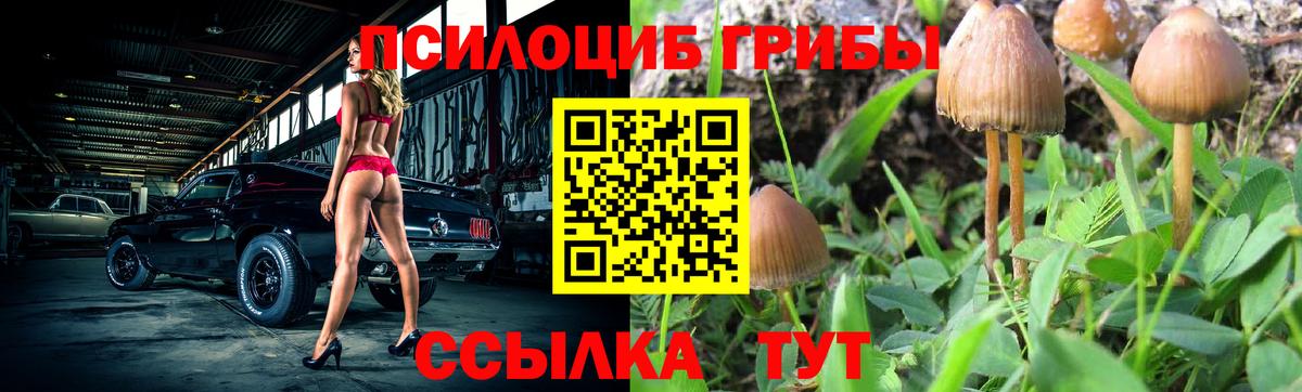 Мыски  Псилоцибиновые грибы GOLDEN TEACHER  Галлюциногенные грибы Psilocybe  Вход с VPN 